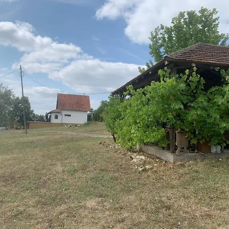 Kuca Sokolovica * Zaječar